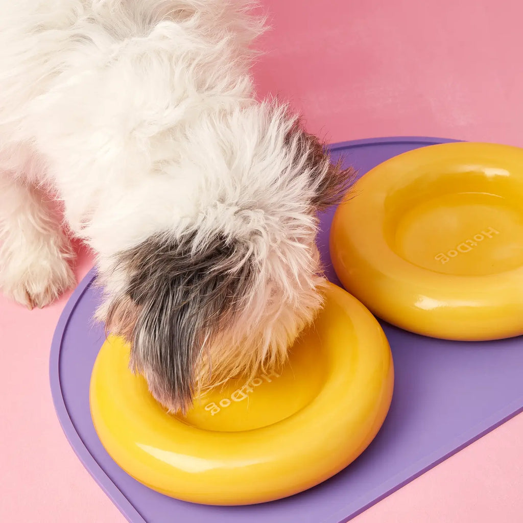 Ceramic Dog Bowl