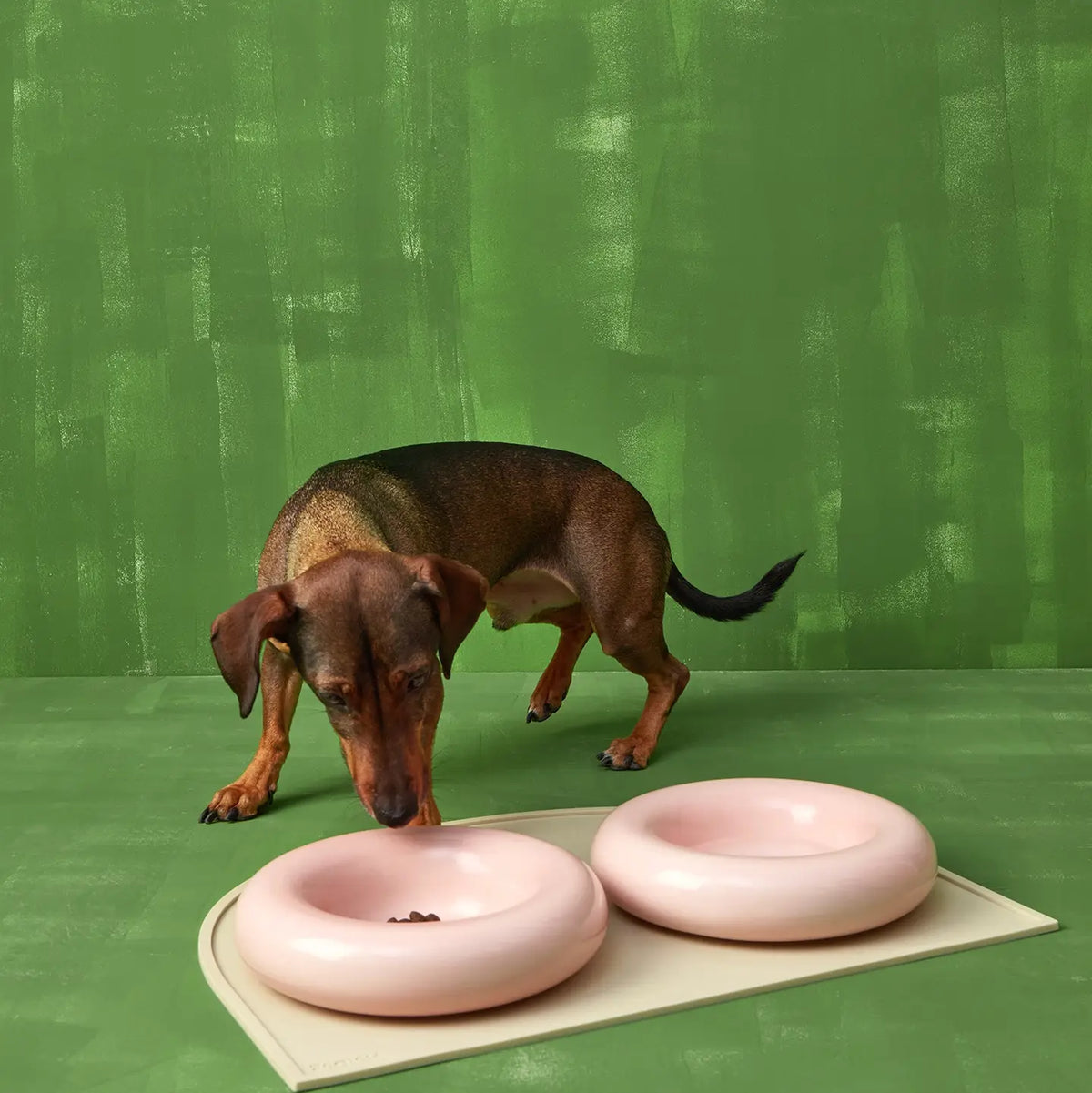 Ceramic Dog Bowl