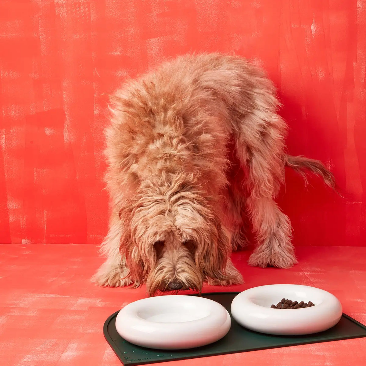 Ceramic Dog Bowl