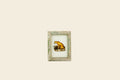 Indian Reverse Glass Painting - Leopard